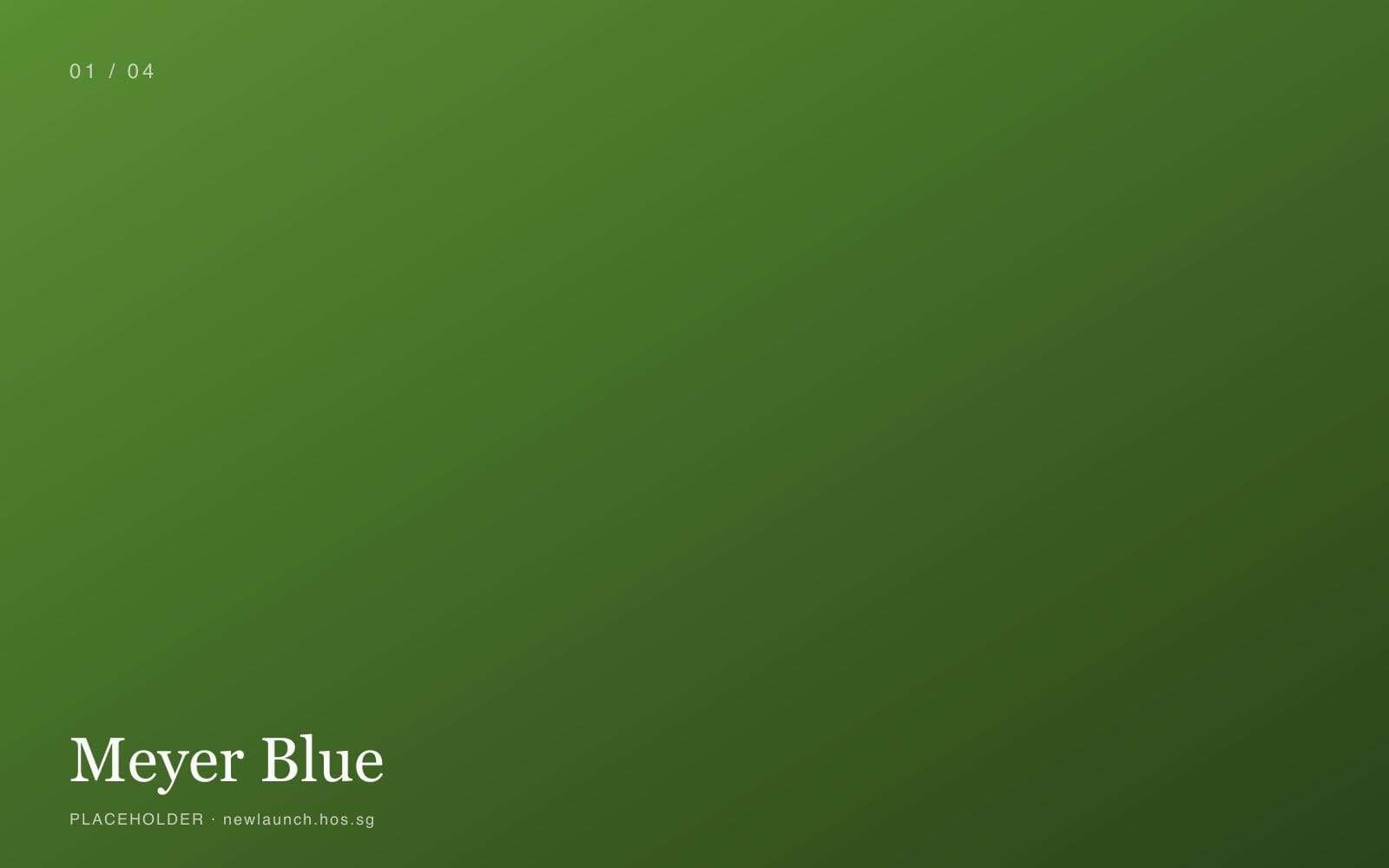 Meyer Blue placeholder 1