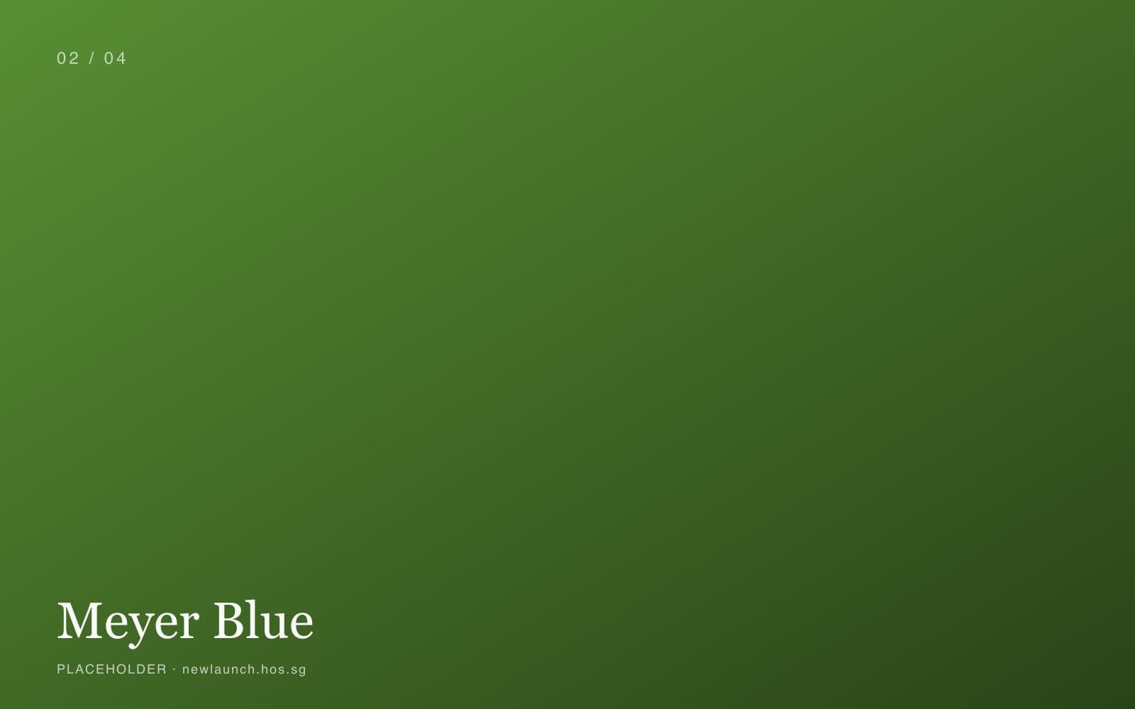 Meyer Blue placeholder 2