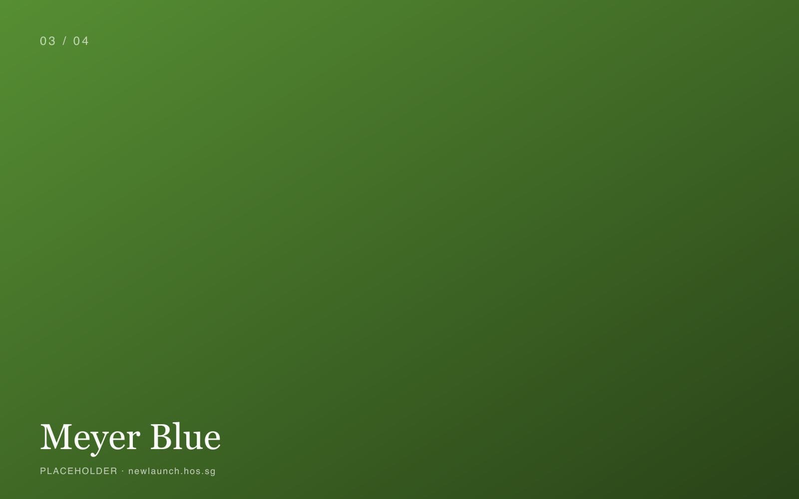 Meyer Blue placeholder 3