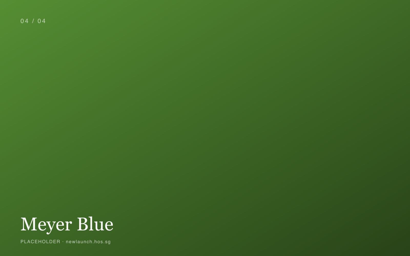 Meyer Blue placeholder 4