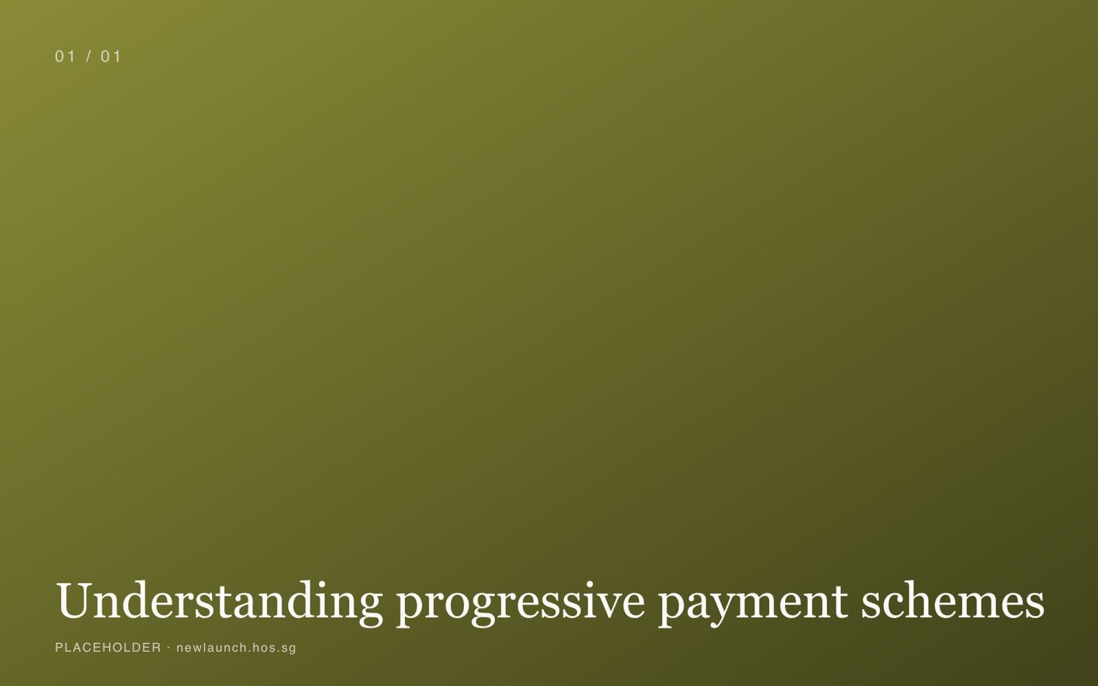 Understanding progressive payment schemes cover image